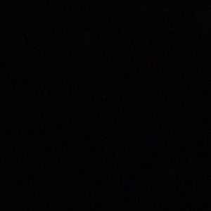 Meet your Posher, Alan